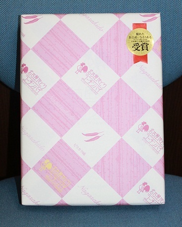120103sasi.jpg